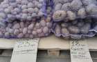 В Константиновке уже продают посадочный картофель: Цены немного снизились