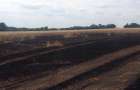 В Бахмутском районе сгорело поле пшеницы