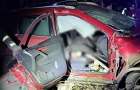 Смертельное ДТП в Краматорске: водитель врезался в дерево