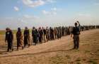 В Сирии демократические силы освободили более 200 боевиков ИГИЛ