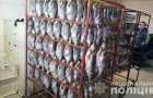 Операция «Нерест»: полиция изъяла 6 тонн рыбы у нарушителей