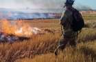 16 пожаров в природных экосистемах Донбасса случилось на этих выходных