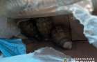 У жителя Константиновки изъяли гранаты и два гранатомета
