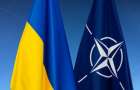 В НАТО обеспокоены обострением конфликта на Донбассе