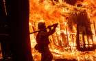 Пожары на Донбассе унесли жизни четырех человек