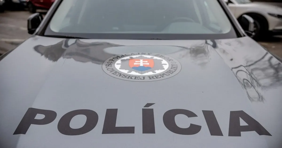 У Словаччині запобігли підпалу заводу українського виробника дронів Skyeton