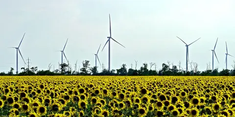 Відновлювальна енергетика в Україні: чому галузь зростає попри війну