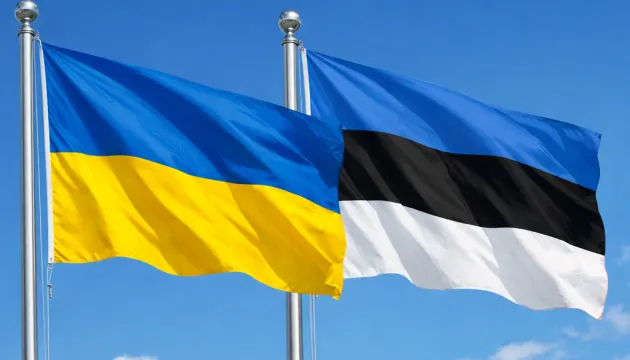 Естонія збільшила внесок у Фонд підтримки енергетики України до €2,7 млн