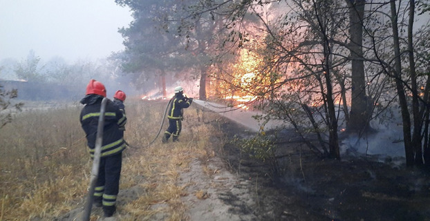 Масштабные пожары на Луганщине: огонь угрожает 32 населенным пунктам