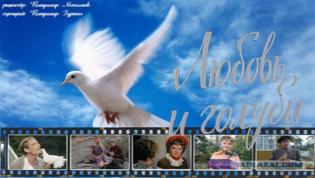 Жителей Константиновки приглашают бесплатно посмотреть «Любовь и голуби»