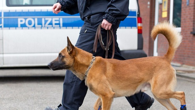 Беженец из Германии покусал полицейского и его собаку 