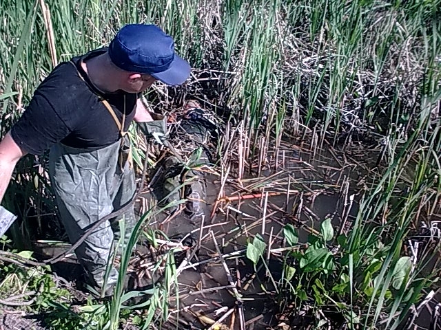 В Славянском районе в пруду нашли утопленника