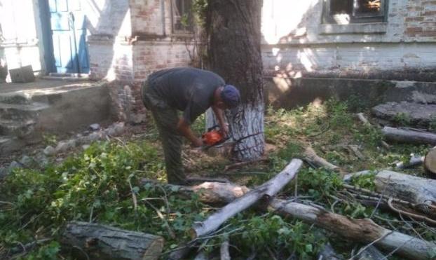 На Добропольщине спасатели ликвидировали аварийные деревья