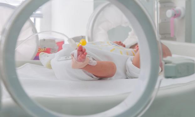 В результате эксперимента с виагрой в Нидерландах умерли 11 младенцев