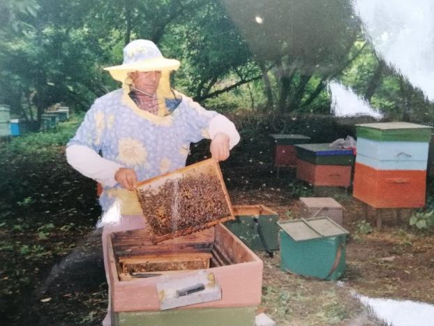Краматорчанин раскрывает секреты: чем пчеловод отличается от пасечника? 