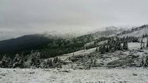 Снегопад в Карпатах: опубликованы фото 