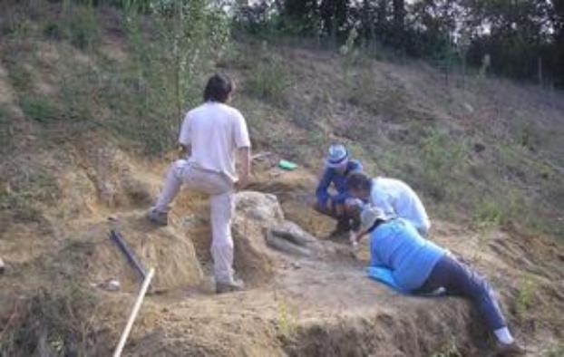 Житель Франции нашел возле дома череп животного, вымершего 10 млн лет назад