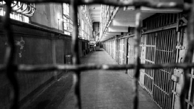 В британской тюрьме продавали наркотики в крысах 