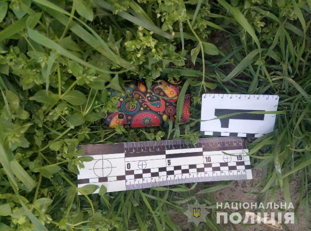 Житель Славянска ограбил фармацевта в Николаевской области