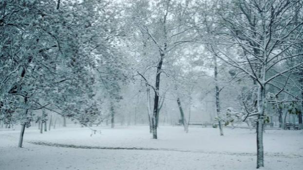 В Крым пришла зима, полуостров засыпало первым снегом