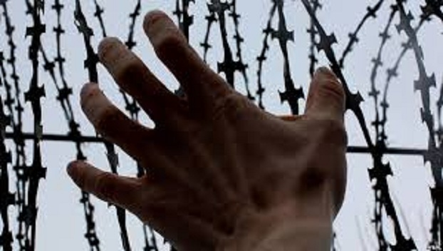 Правозащитники зафиксировали случаи пыток в аннексированном Крыму 