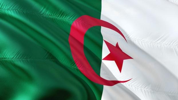 В Алжире приступили к формированию нового правительства