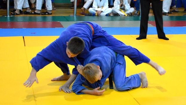 В областном чемпионате по дзюдо в Доброполье за победу сражались 220 спортсменов