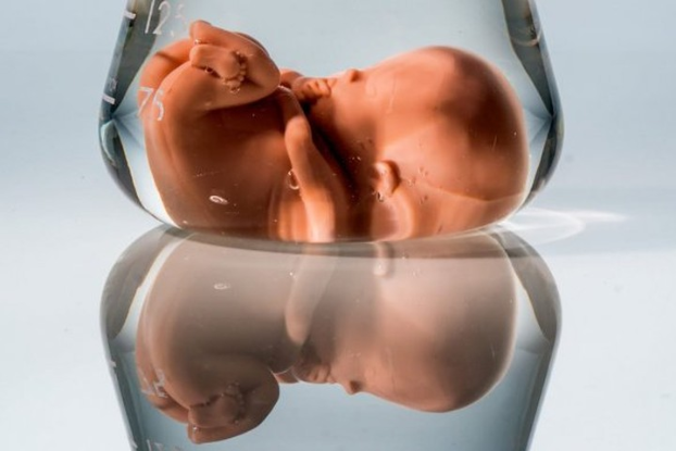 В Китае подтвердили рождение генетически модифицированных детей