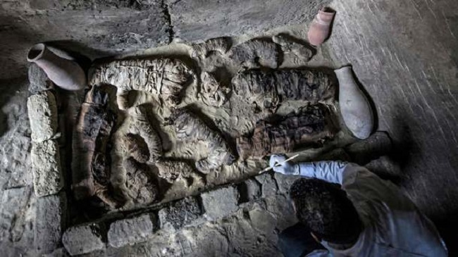 В Египте археологи впервые в истории нашли мумии жуков