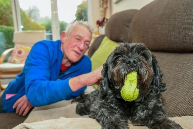 В Великобритании собака вывела хозяина из комы 