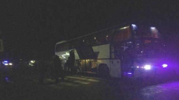 Автобус Одесса — Мариуполь насмерть сбил пешехода в Николаевской области