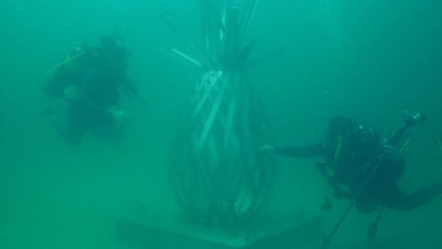 У берегов Флориды появился первый в США подводный музей