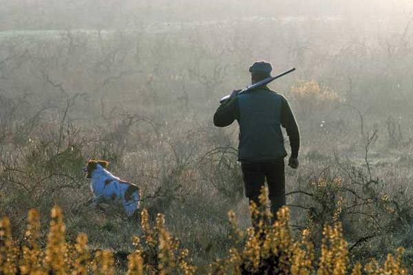 Военное положение: в Сумской области запретят охоту