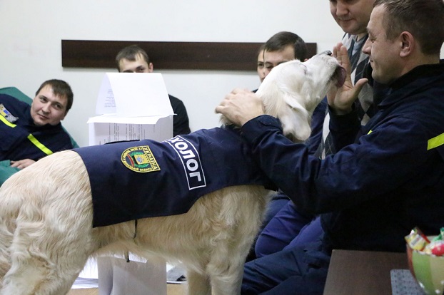 В мариупольской службе спасения появилась первая в Украине собака-психолог 