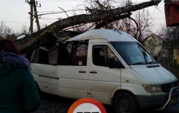 В Киевской области дерево упало на маршрутку с пассажирами