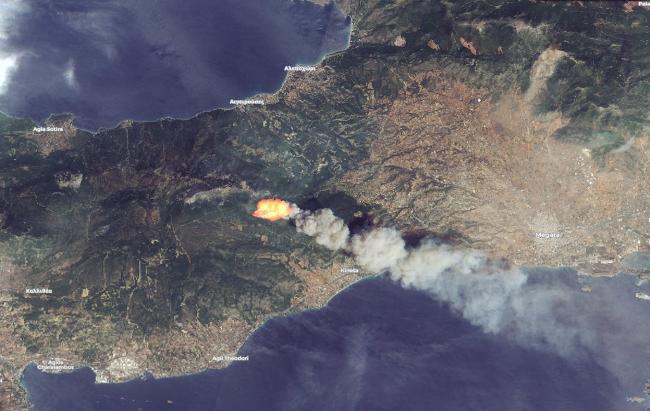 Лесной пожар в Греции показали из космоса