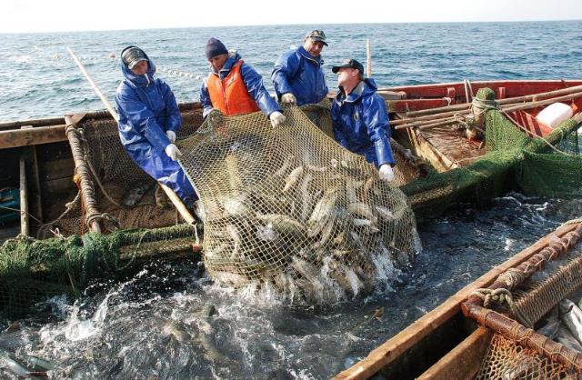 10 месяцев: вылов рыбы в водоемах Украины увеличился на 17,2%