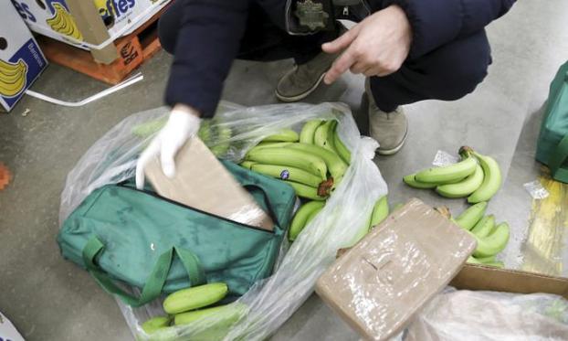 В Испании в коробках с бананами нашли шесть тонн кокаина