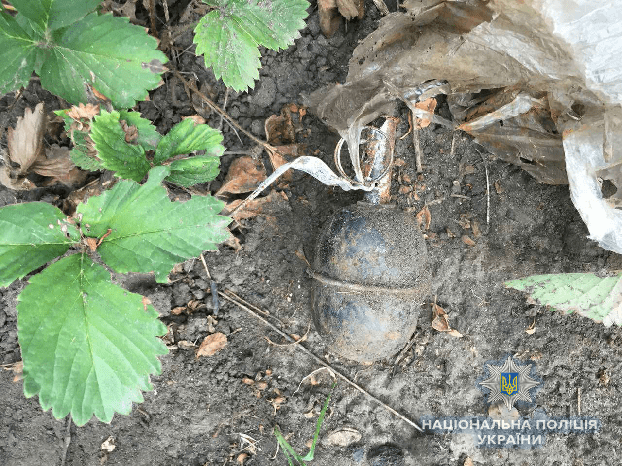 Жительница Дружковки обнаружила в огороде гранату