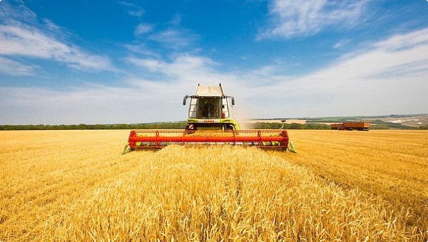 В Украине увеличились объемы производимой сельхозпродукции 