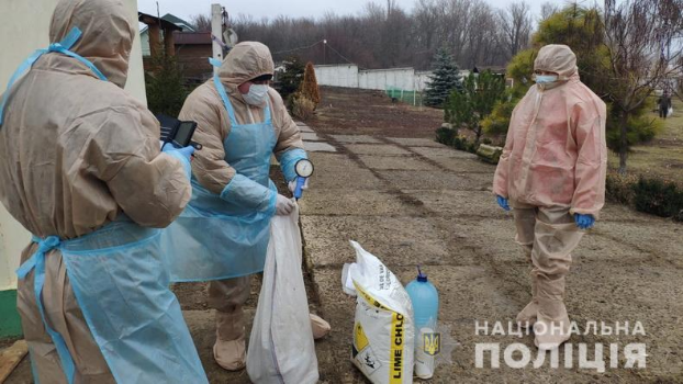 На Луганщине подтверждена вспышка птичьего гриппа: подробности