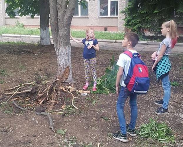 В Светлодарске дети благодарят деревья за спасение от снаряда