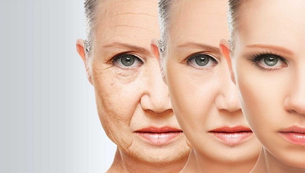 Ученые установили возраст, когда начинается старение 