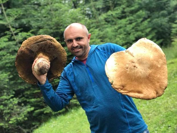Как сомбреро: в Карпатах нашли огромные грибы