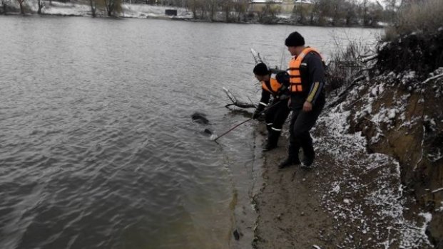 В Добропольском районе спасатели достали из воды утопленницу