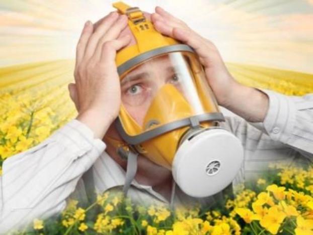 В некоторых областях Украины прогнозируют новую вспышку аллергии