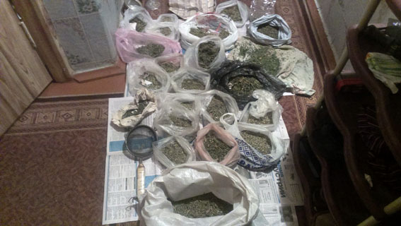 Более 2 кг каннабиса изъяли у жителя Артемовского района 