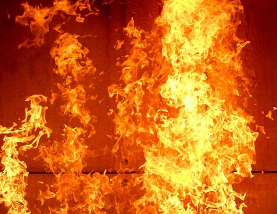 В Дружковке произошли пожары в природных экосистемах