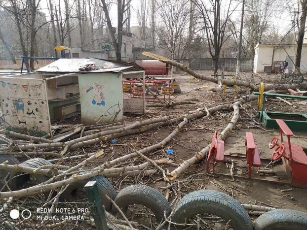 В Одессе дерево рухнуло на детскую площадку
