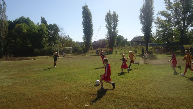 В Доброполье юные футболисты боролись за победу в чемпионате